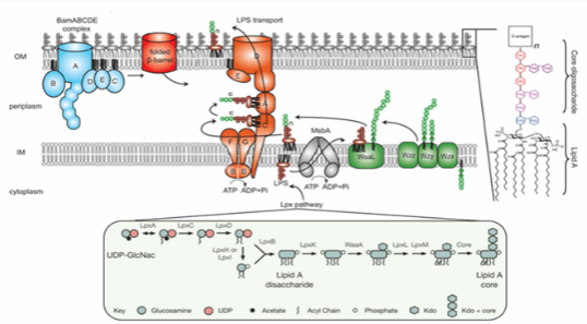 药学院王昊团队 | 懂药的AI人+懂AI的药学人
